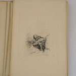 Couverture du livre Estimation du livre « poil de Carotte : suites des gravures »