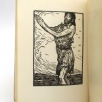 Couverture du livre Estimation du livre « salomé »