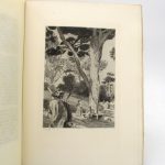 Couverture du livre Estimation du livre « bouvard et Pécuchet »