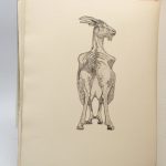 Couverture du livre Estimation du livre « portrait de Abram Krol »