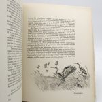 Couverture du livre Estimation du livre « l’Activité migratoire »