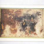 Couverture du livre Estimation du livre « les Papillons »