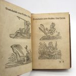 Couverture du livre Estimation du livre &laquo;&nbsp;viellerley wu[n]derbarlicher Thier des Erdtrichs, Mehrs und des Luffts : allen anfahenden Malern und Goldschmieden nützlich, Sampt andern Künstnern&nbsp;&raquo;