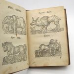 Couverture du livre Estimation du livre &laquo;&nbsp;viellerley wu[n]derbarlicher Thier des Erdtrichs, Mehrs und des Luffts : allen anfahenden Malern und Goldschmieden nützlich, Sampt andern Künstnern&nbsp;&raquo;