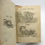 Couverture du livre Estimation du livre &laquo;&nbsp;viellerley wu[n]derbarlicher Thier des Erdtrichs, Mehrs und des Luffts : allen anfahenden Malern und Goldschmieden nützlich, Sampt andern Künstnern&nbsp;&raquo;