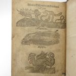 Couverture du livre Estimation du livre &laquo;&nbsp;viellerley wu[n]derbarlicher Thier des Erdtrichs, Mehrs und des Luffts : allen anfahenden Malern und Goldschmieden nützlich, Sampt andern Künstnern&nbsp;&raquo;