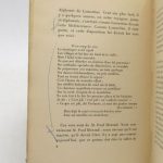 Couverture du livre Estimation du livre &laquo;&nbsp;les Métamorphoses du romantisme&nbsp;&raquo;