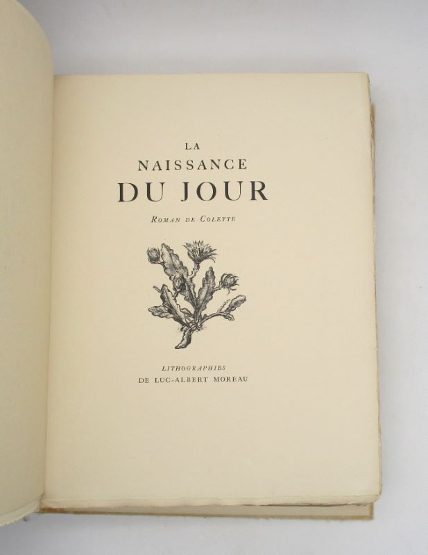 Image supplémentaire du livre Estimation du livre « la Naissance du jour »