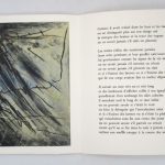 Couverture du livre Estimation du livre &laquo;&nbsp;le long de ce mur infini&nbsp;&raquo;