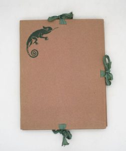 Estimation Edition originale - Couverture du livre Estimation du livre &laquo;&nbsp;caméléon&nbsp;&raquo;