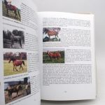 Couverture du livre Estimation du livre &laquo;&nbsp;du cheval oriental au pur sang français d&rsquo;origine arabe&nbsp;&raquo;