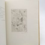 Couverture du livre Estimation du livre &laquo;&nbsp;farouche à quatre feuilles&nbsp;&raquo;