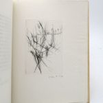 Couverture du livre Estimation du livre &laquo;&nbsp;farouche à quatre feuilles&nbsp;&raquo;