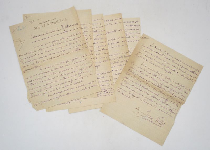 Couverture du livre Estimation du livre « observations sur le Naturisme : manuscrit autographe signé »