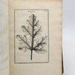 Couverture du livre Estimation du livre « institutiones rei Herbariae : tomes IIe et IIIe de planches seuls »