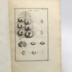 Couverture du livre Estimation du livre « institutiones rei Herbariae : tomes IIe et IIIe de planches seuls »