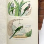 Couverture du livre Estimation du livre « oeuvres complètes de Buffon avec des extraits de Daubenton et la classification de Cuvier »