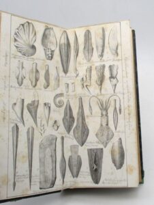 Estimation Sciences et médecine - Couverture du livre Estimation du livre &laquo;&nbsp;traité de paléontologie ou Histoire naturelle des animaux fossiles :  planches  XLVIII à LXXXIX de l&rsquo;atlas seules&nbsp;&raquo;