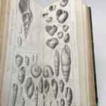 Couverture du livre Estimation du livre &laquo;&nbsp;traité de paléontologie ou Histoire naturelle des animaux fossiles :  planches  XLVIII à LXXXIX de l&rsquo;atlas seules&nbsp;&raquo;