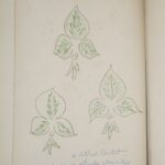 Couverture du livre Estimation du livre &laquo;&nbsp;poèmes de Charles d&rsquo;Orléans&nbsp;&raquo;