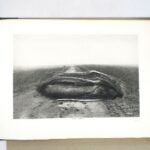 Couverture du livre Estimation du livre &laquo;&nbsp;terrain&nbsp;&raquo;