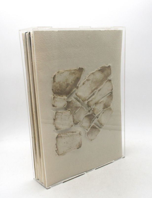 Image supplémentaire du livre Estimation du livre « labyrinthe (fragments) »