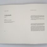 Couverture du livre Estimation du livre « labyrinthe (fragments) »