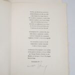 Couverture du livre Estimation du livre &laquo;&nbsp;bruits de langue&nbsp;&raquo;