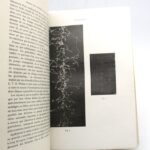 Couverture du livre Estimation du livre &laquo;&nbsp;grains de matière et de lumière&nbsp;&raquo;