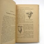 Couverture du livre Estimation du livre « les Hybrides : Producteurs directs pour la reconstitution du vignoble »