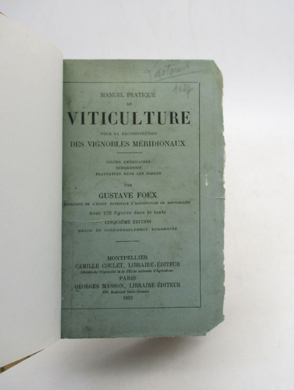 Image supplémentaire du livre Estimation du livre « manuel pratique de viticulture pour la reconstitution des vignobles méridionaux »