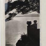 Couverture du livre Estimation du livre &laquo;&nbsp;le Bon Anglais&nbsp;&raquo;