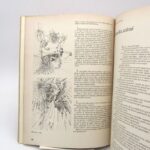 Couverture du livre Estimation du livre « analogon 1 »