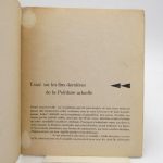 Couverture du livre Estimation du livre « essai sur les fins dernières de la peinture actuelle »