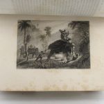 Couverture du livre Estimation du livre « l’Inde pittoresque : Bombay. »
