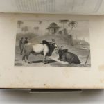 Couverture du livre Estimation du livre « l’Inde pittoresque : Bombay. »