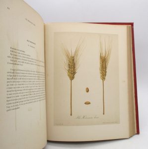 Estimation Sciences et médecine - Couverture du livre Estimation du livre « les meilleurs blés. Description et culture des principales variétés de froments d’hiver et de printemps. »