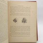Couverture du livre Estimation du livre « les meilleurs blés. Description et culture des principales variétés de froments d’hiver et de printemps. »