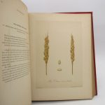 Couverture du livre Estimation du livre « les meilleurs blés. Description et culture des principales variétés de froments d’hiver et de printemps. »
