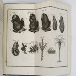 Couverture du livre Estimation du livre « voyages dans les deux Siciles et dans quelques parties des Apennins. Traduit par G. Toscan. »