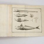 Couverture du livre Estimation du livre « histoire des poissons, contenant la description anatomique de leurs parties […] & le caractère des divers genres […]. / Historia piscium. »