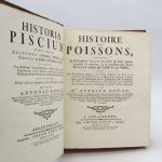 Couverture du livre Estimation du livre « histoire des poissons, contenant la description anatomique de leurs parties […] & le caractère des divers genres […]. / Historia piscium. »