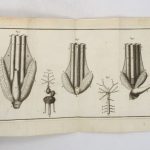 Couverture du livre Estimation du livre « histoire des poissons, contenant la description anatomique de leurs parties […] & le caractère des divers genres […]. / Historia piscium. »