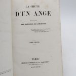 Couverture du livre Estimation du livre &laquo;&nbsp;la Chute d&rsquo;un ange&nbsp;&raquo;
