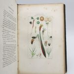 Couverture du livre Estimation du livre « iconographie végétale, ou Organisation des végétaux illustrée au moyen de figures analytiques par P. J. F. Turpin, avec un texte explicatif raisonné par M. A. Richard »