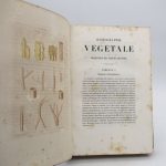 Couverture du livre Estimation du livre « iconographie végétale, ou Organisation des végétaux illustrée au moyen de figures analytiques par P. J. F. Turpin, avec un texte explicatif raisonné par M. A. Richard »