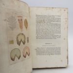 Couverture du livre Estimation du livre « iconographie végétale, ou Organisation des végétaux illustrée au moyen de figures analytiques par P. J. F. Turpin, avec un texte explicatif raisonné par M. A. Richard »