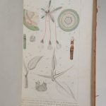 Couverture du livre Estimation du livre « nouveau système de physiologie végétale et de botanique, fondé sur les méthodes dobservation qui ont été développées dans le nouveau système de chimie organique. ATLAS. »