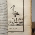 Couverture du livre Estimation du livre « histoire naturelle, 51 volumes. Buffon : Oiseaux (17 vol.) ; Quadrupèdes (14 vol.). Lacépède : Quadrupèdes, ovipares, serpents (4 vol.); Cétacés (2 vol.) ; Poissons (14 vol.). »