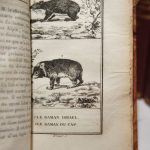 Couverture du livre Estimation du livre « histoire naturelle, 51 volumes. Buffon : Oiseaux (17 vol.) ; Quadrupèdes (14 vol.). Lacépède : Quadrupèdes, ovipares, serpents (4 vol.); Cétacés (2 vol.) ; Poissons (14 vol.). »